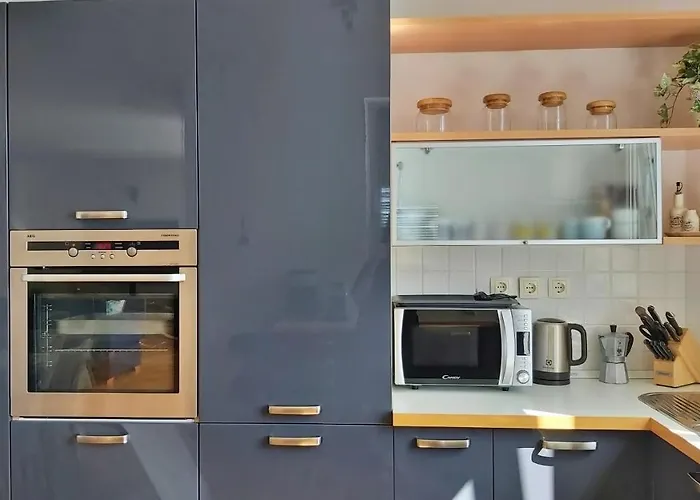 Mitra Zonata Pink Daire