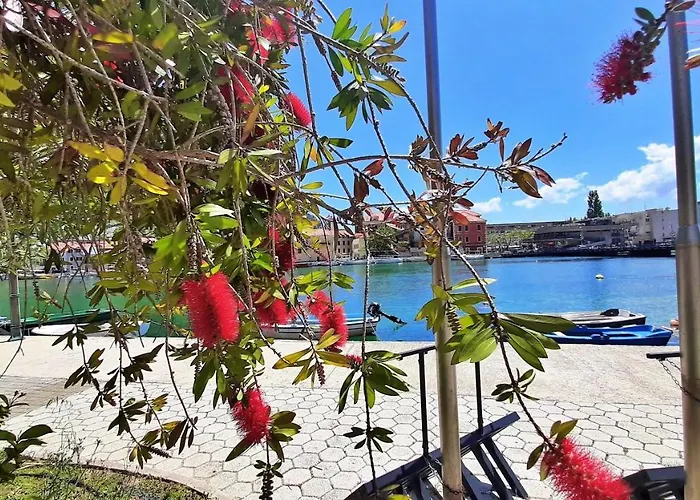 Mitra Zonata Pink Lejlighed Omiš